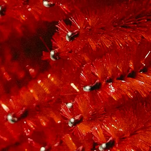 The Lash Membership at Kebree Kerr in Dewey, OK